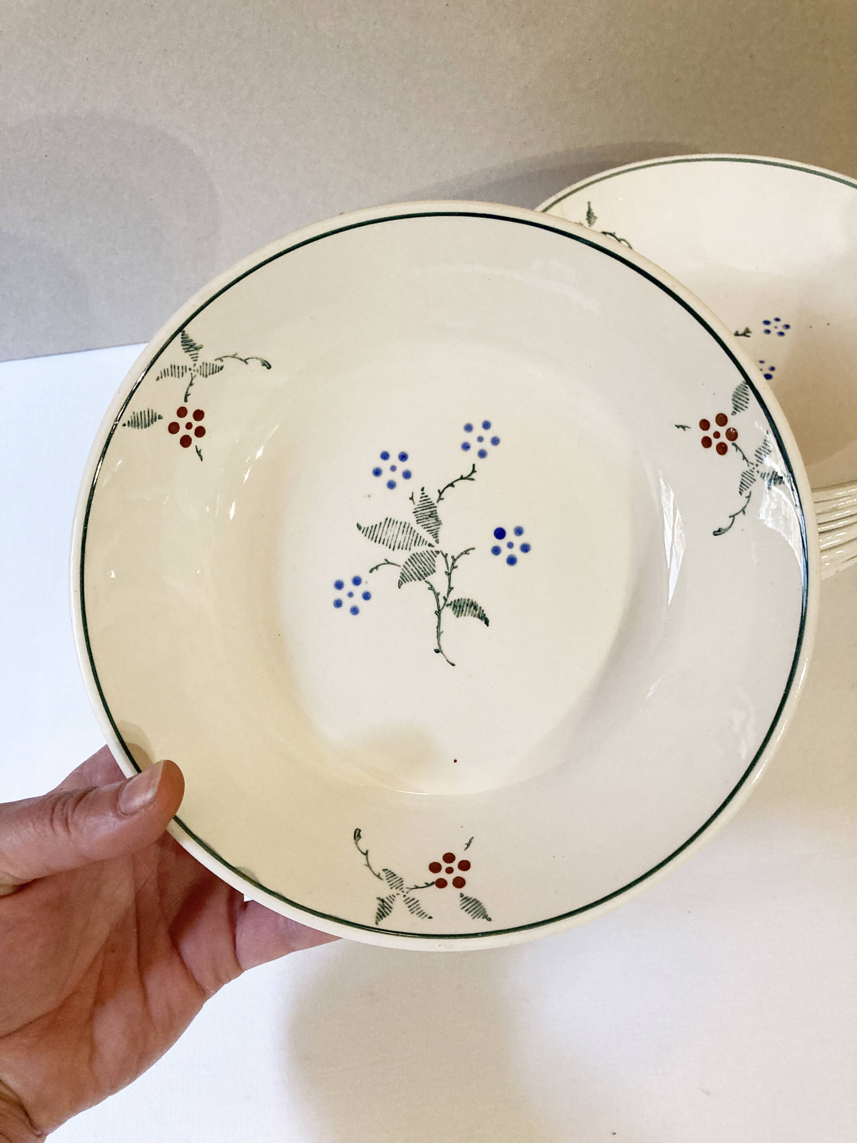 Deep plates, Saint-Amand earthenware, Bill model