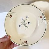 Deep plates, Saint-Amand earthenware, Bill model