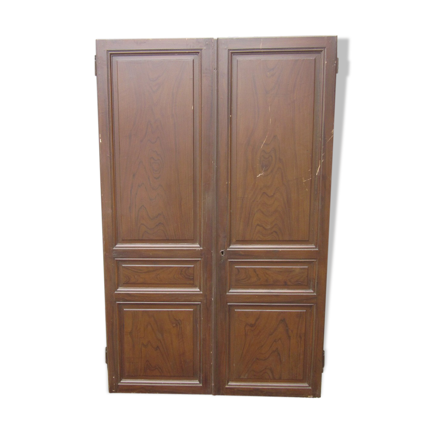 Paire de portes d'armoire