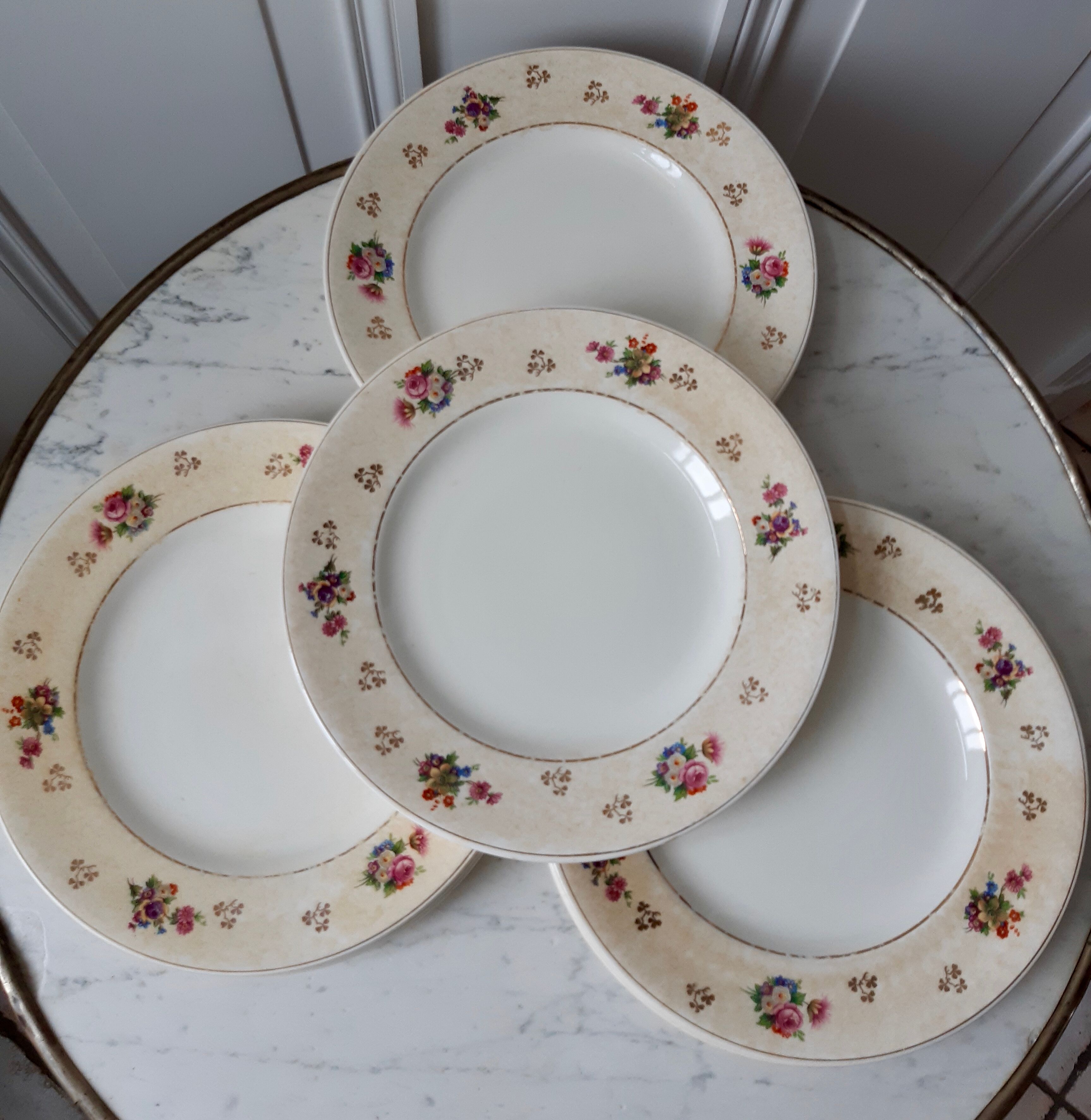Lot de 10 assiettes plates Salins modèle Simone