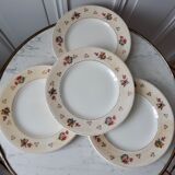 Lot of 10 flat plates Salins model Simone