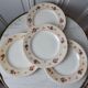 Lot de 10 assiettes plates Salins modèle Simone