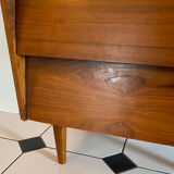 Vintage shoe cabinet 60s