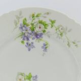 Old porcelain heel plate from Limoges