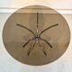 Table ronde vintage années 70 – verre fumé & piètement chrome –