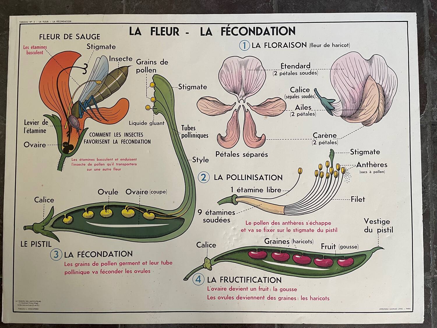 Old school educational poster, school