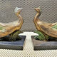 Pair of regulated and marble greenhouse books