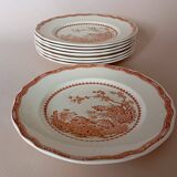 English flat plates by Furnivals "Quail"