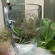 Pinched crystal vase engraved with vintage marine motifs