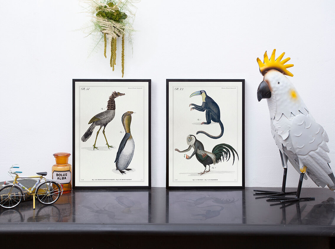 Set of 2 framed chimera lithography animal engraving