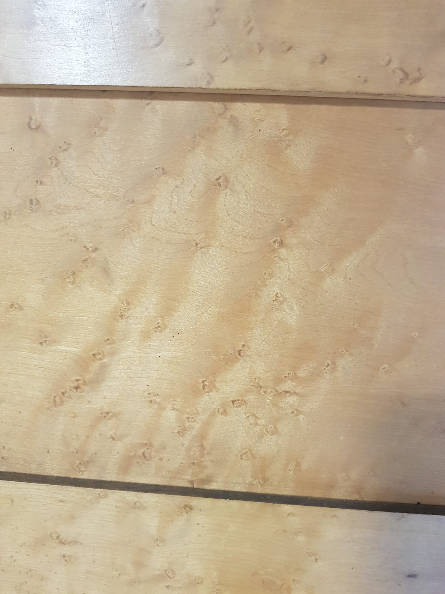 Beveled mirror in elm burl 163cm×65 cm