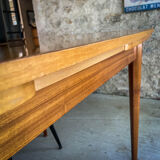 Scandinavian table teak and lemon tree Italian extensions