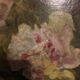 Still life roses