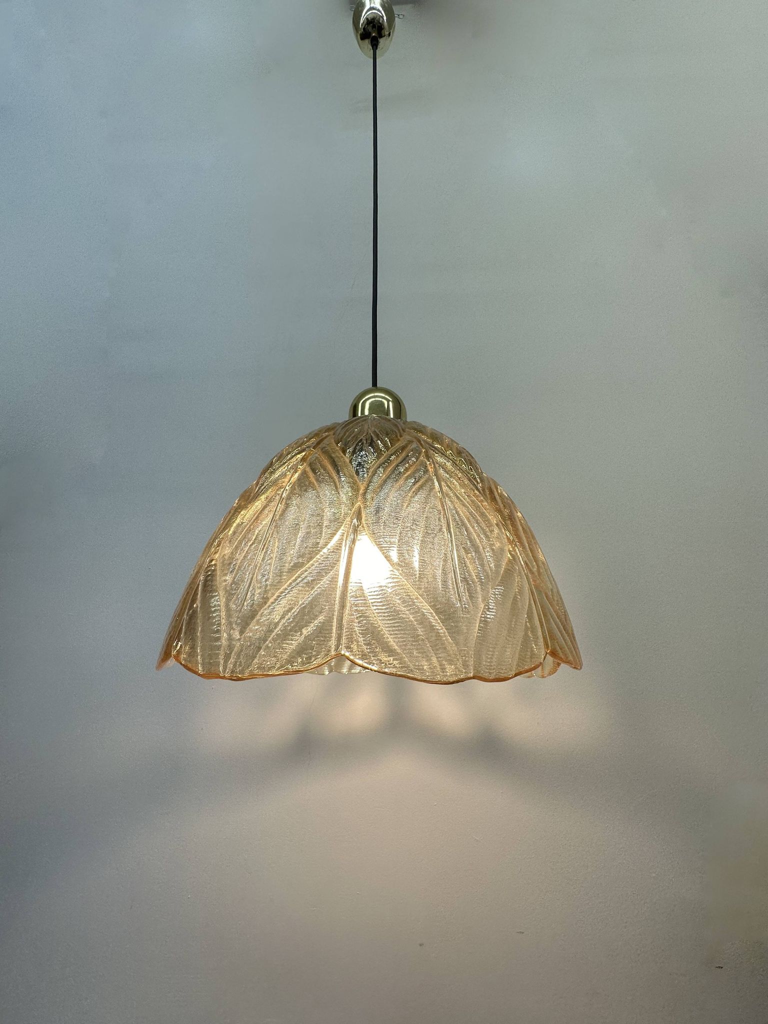 Peil & Putzer glass leaf hanging lamp , 1970’s