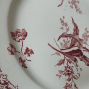 6 assiettes à dessert modèle Fontanges par Sarreguemines