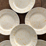 Set of 6 dessert plates