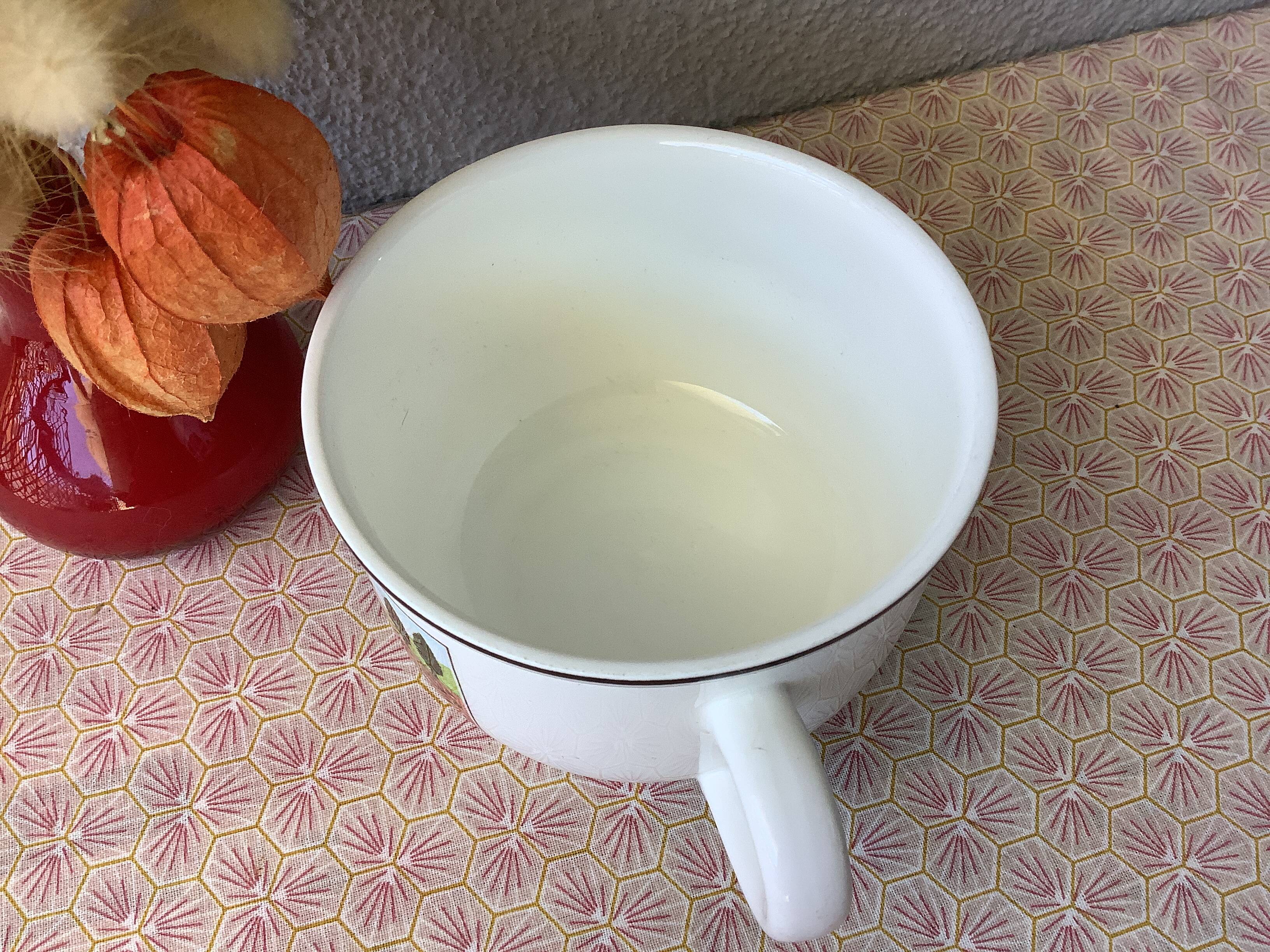 Villeroy & Boch naif design Laplau cup - cappuccino cup