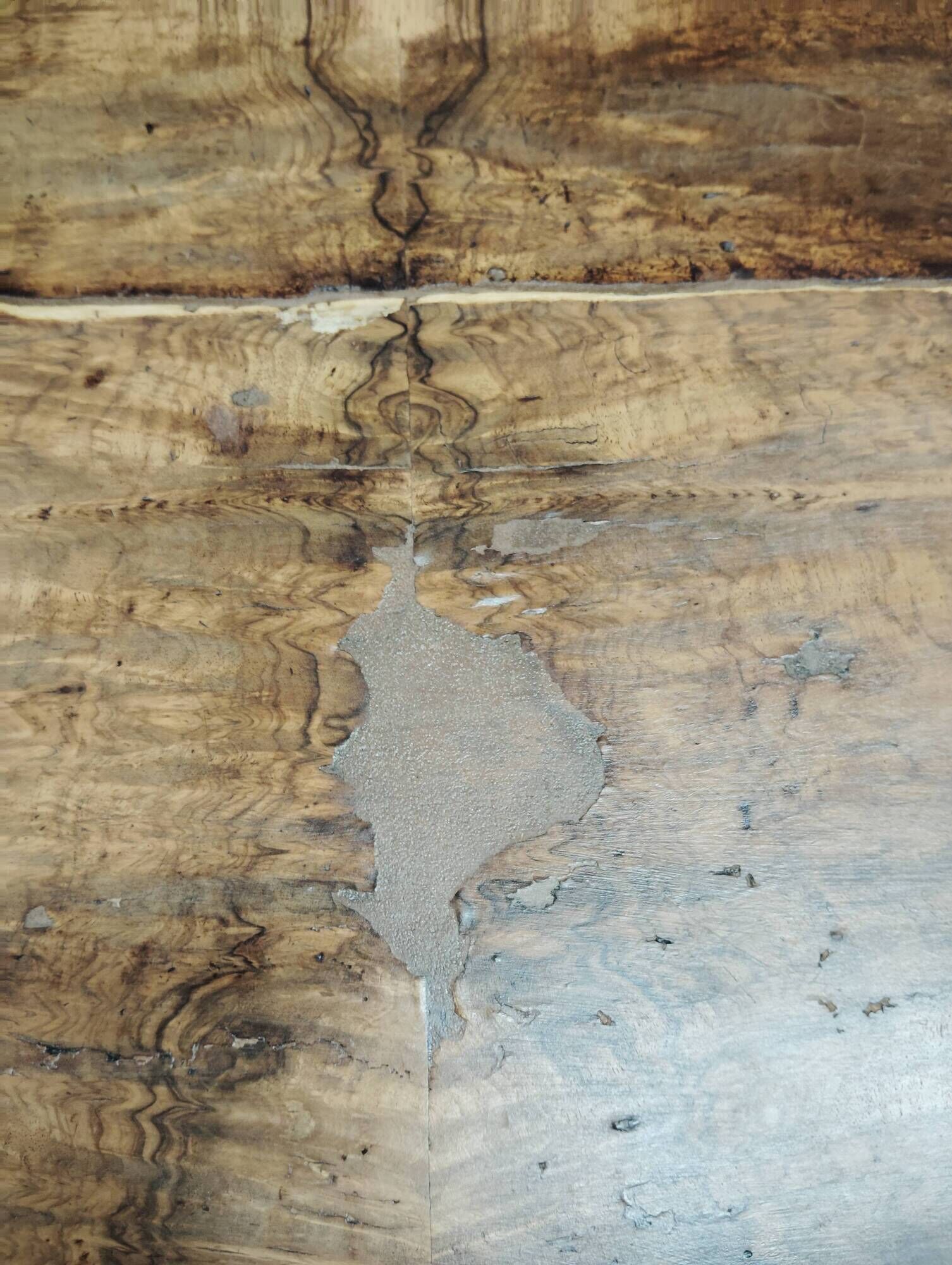 Louis XV desk with walnut burl.
