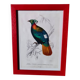 Color lithograph, Gallinaceous, JC Fournier