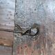 Wall dresser shelf for rustic wooden collection plates (fir and oak)