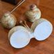 Stoneware salt and pepper shaker