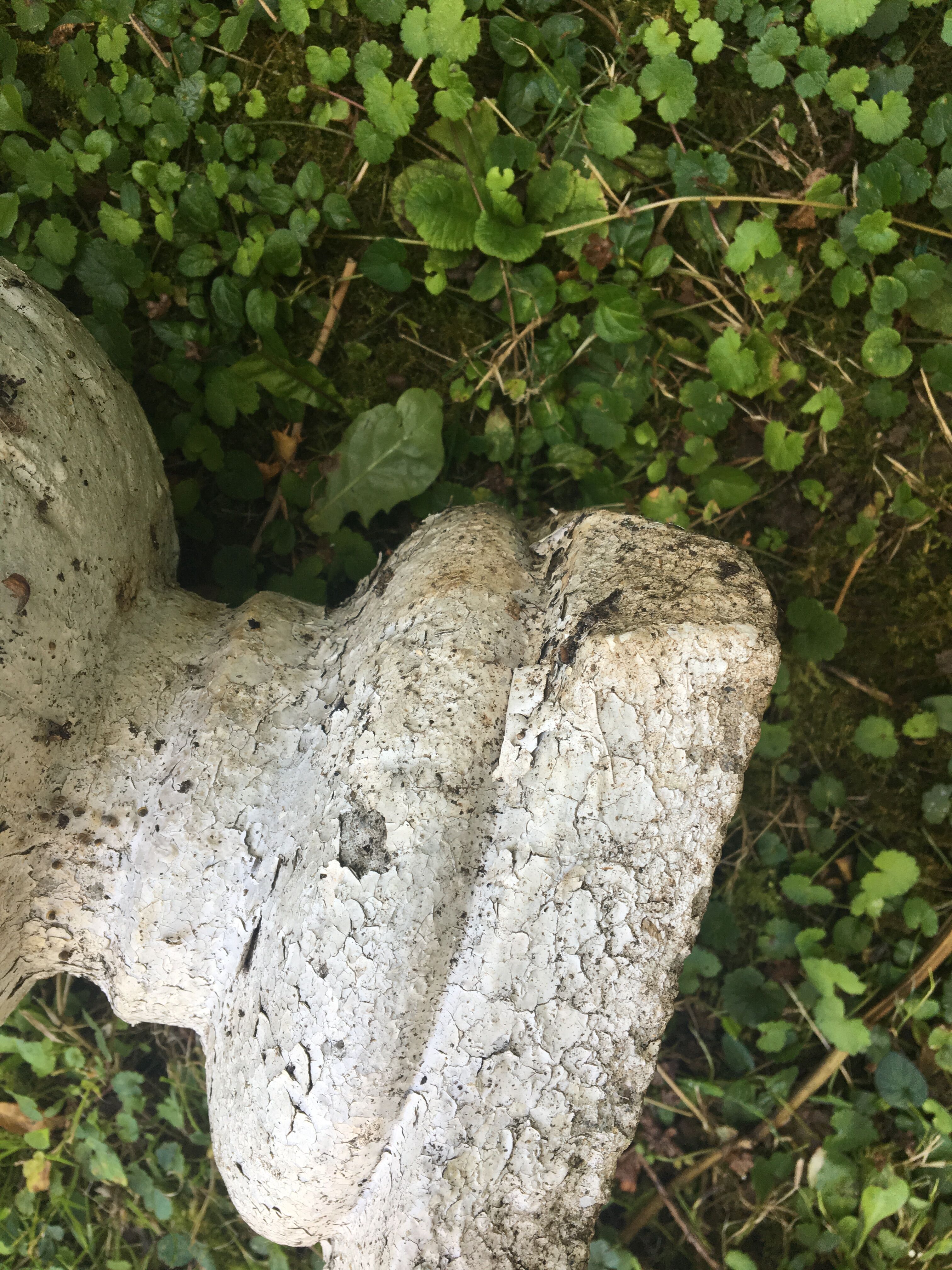 Cement Medici vase, 40cm high