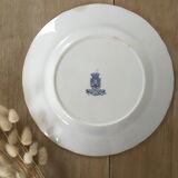 Lot 5 mismatched iron earth flat plates