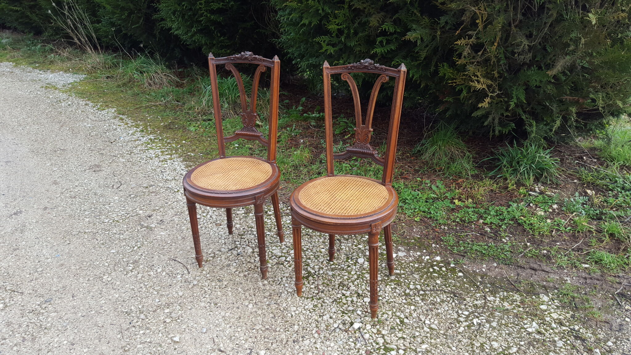 Pair of Louis XVI style walnut chairs