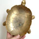 Brass turtle pocket tray