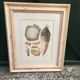 Framed botanical board, vegetables