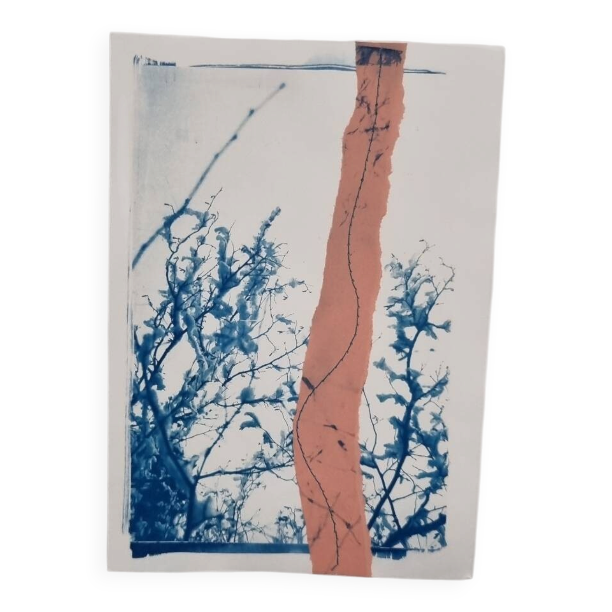 Cyanotype collage