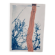 Cyanotype collage