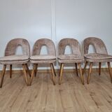 Antonin Suman dining chairs
