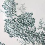 Antique flower plates DAISY St Amand x 2