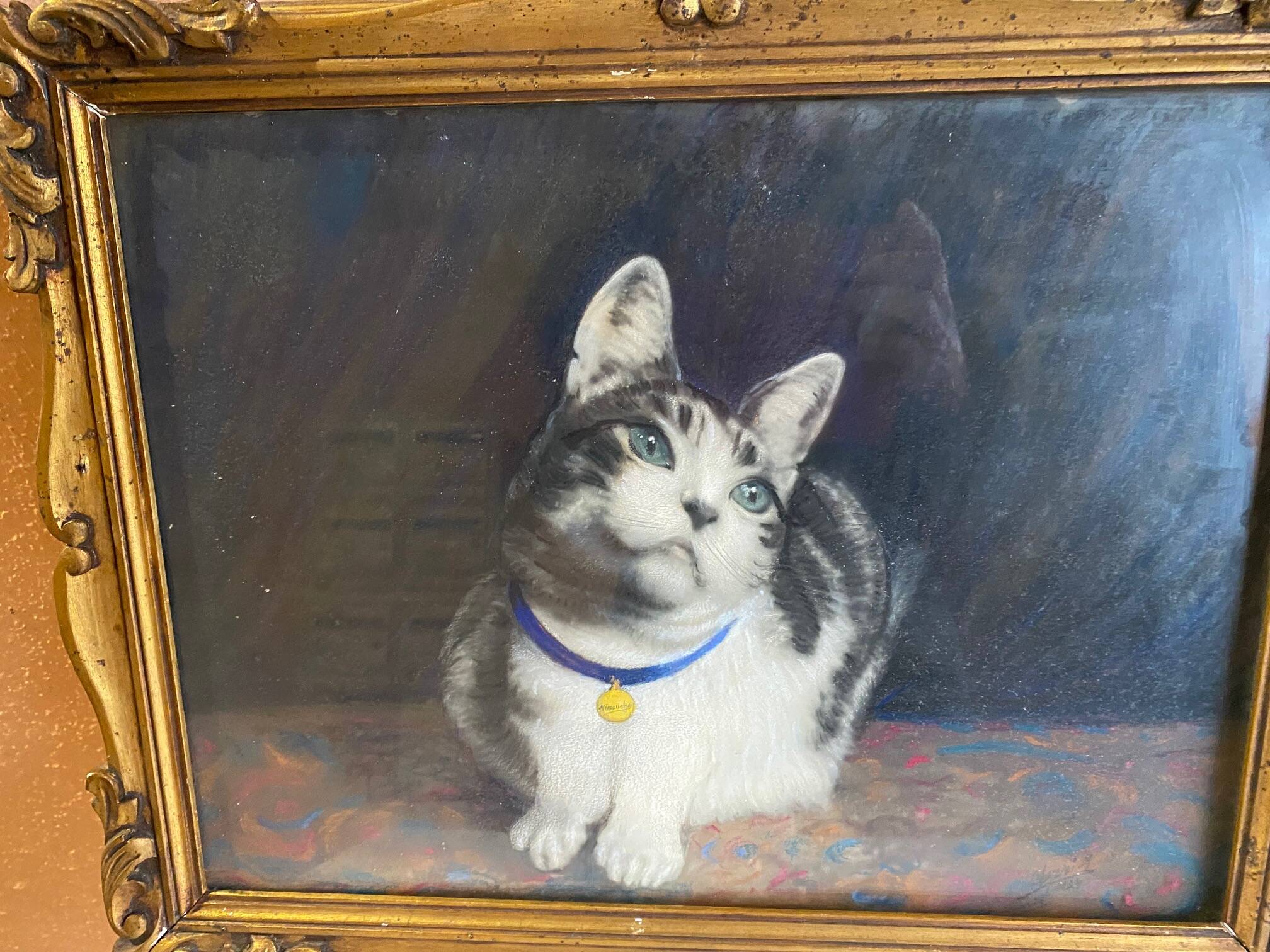 Animal painting cat minouche in gouache signed morris 1934 wooden frame