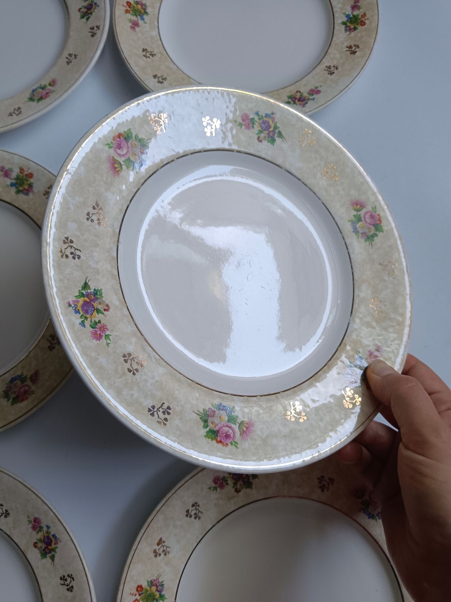 Set of 6 flat plates Salins model Simone beige with flowers.