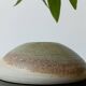 Vintage studio pottery signed - Variegated green and raw earth