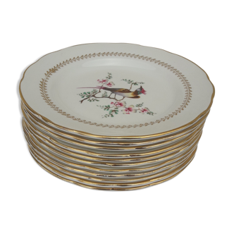 11 gien Tokio diam earthenware plates 18.5 cm