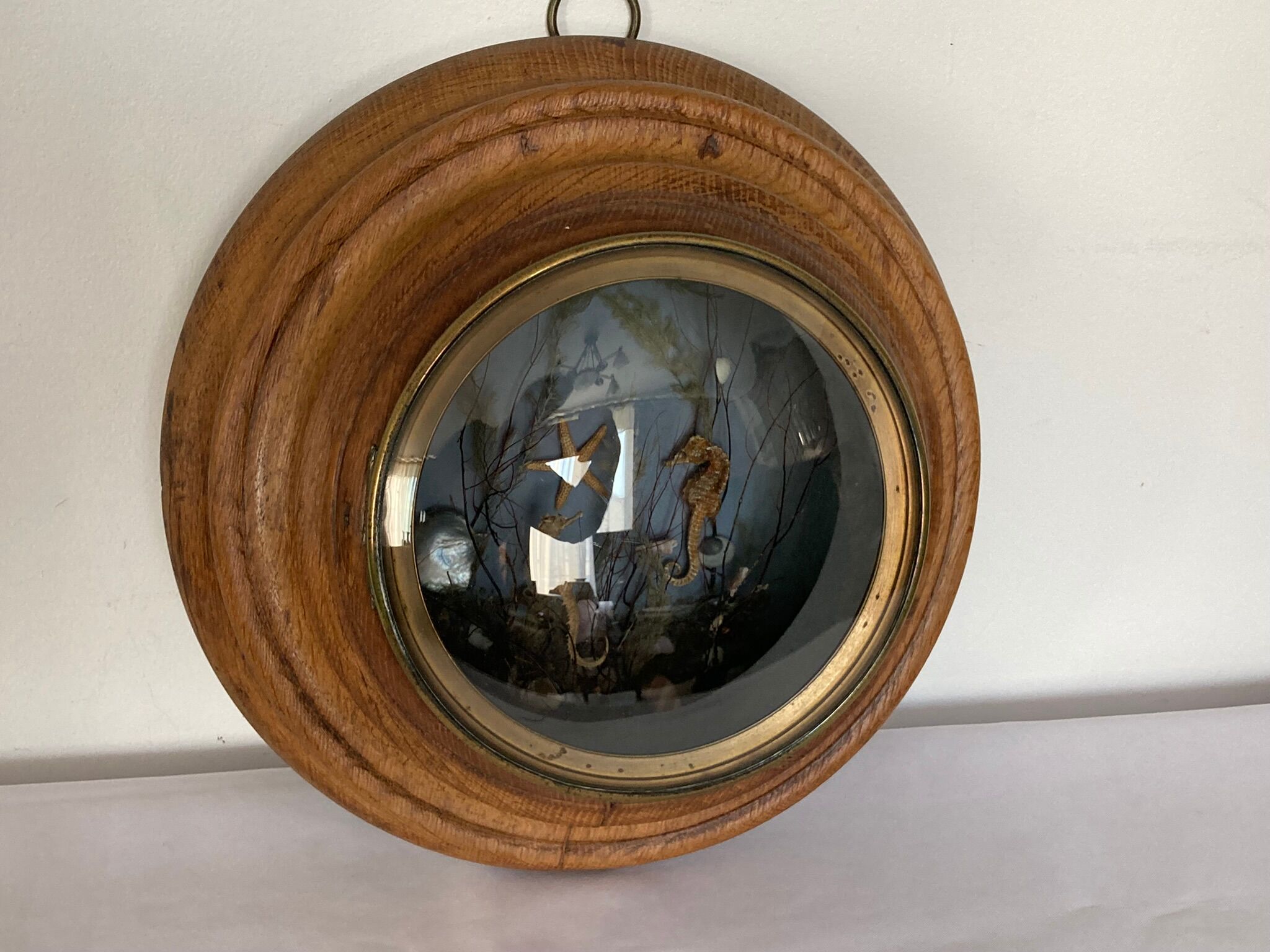 Object of curiosity diorama seabed porthole XXth