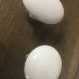 Porcelain door handles