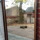 Antique mirror/black and gold frame