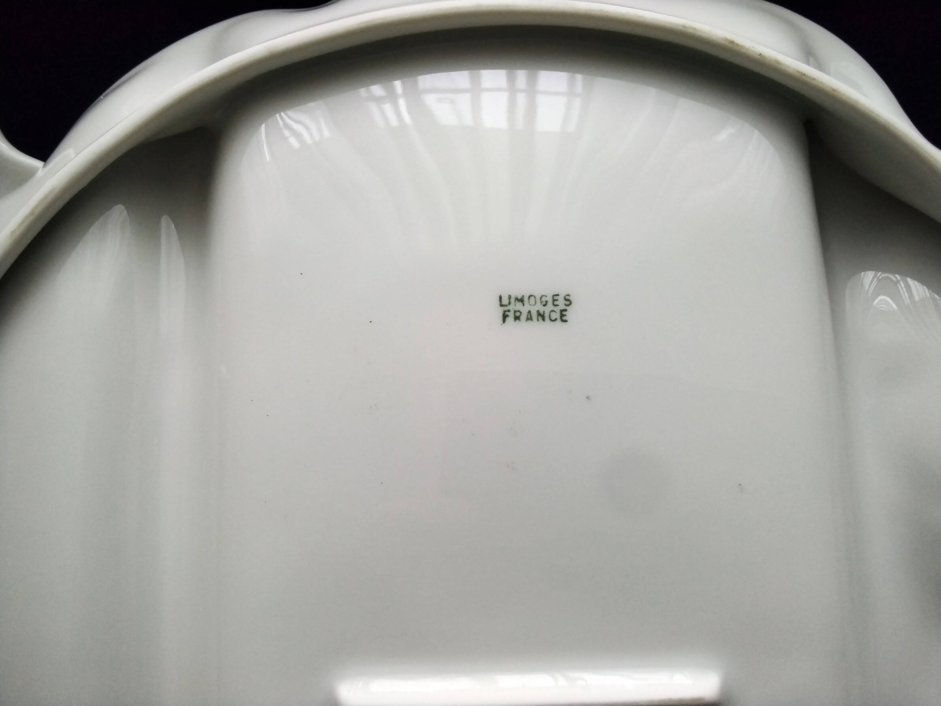 6 Limoges porcelain asparagus plates