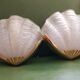 Art deco shape shell wall light