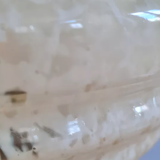 Clichy glass table lamp