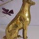 Dog brass