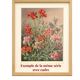 Art Nouveau Engraving 1896 - Wild Thistles - by G. Fraipont - Botany
