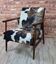 Restored Mid-Century Armchair Type B-7727 - Cowhide Print Velour - 1960s