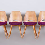 Mid Century Modern Dining chairs, designed by František Jirák for Tatra Nábytok