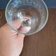 5 guilloche wine glasses from the 1910s/1920s