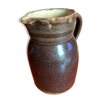 Brown pitcher in sandstone